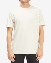 1 Wave Washed Short Sleeve T-Shirt Black ABYZT01220 Billabong