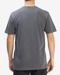 billabong, Wave Washed T-Shirt à Manches Courtes, CHARCOAL (chr) ESSENTIAL WAVE WASHED SS ABYZT01220