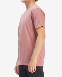 2 Wave Washed Short Sleeve T-Shirt Red ABYZT01220 Billabong