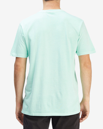 2 Wave Washed Short Sleeve T-Shirt Green ABYZT01220 Billabong