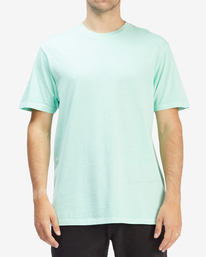 0 Wave Washed Short Sleeve T-Shirt Green ABYZT01220 Billabong