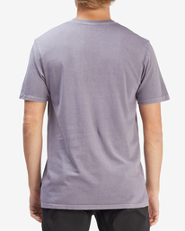 billabong, Wave Washed T-Shirt à Manches Courtes, PURPLE HAZE (phz) ESSENTIAL WAVE WASHED SS ABYZT01220