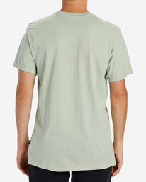 billabong, Wave Washed Short Sleeve T-Shirt, LIGHT SAGE (tnf0) ESSENTIAL WAVE WASHED SS ABYZT01220