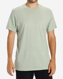 billabong, Wave Washed Short Sleeve T-Shirt, LIGHT SAGE (tnf0) ESSENTIAL WAVE WASHED SS ABYZT01220