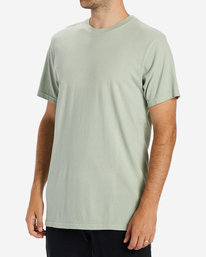 1 Wave Washed Short Sleeve T-Shirt Beige ABYZT01220 Billabong
