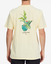 3 Kamea Jungle Short Sleeve T-Shirt Multicolor ABYZT01253 Billabong