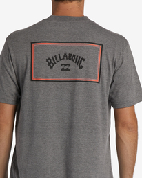 4 Arch Block Short Sleeve T-Shirt  ABYZT01281 Billabong