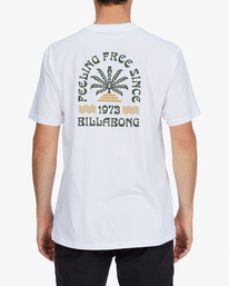 3 Steady Short Sleeve T-Shirt White ABYZT01288 Billabong