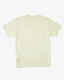 5 Chest Wave Washed Short Sleeve T-Shirt Green ABYZT01292 Billabong