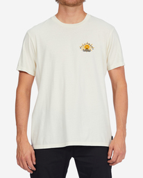 billabong, Providence Wave Washed Short Sleeve T-Shirt, OFF WHITE (ofw) PROVIDENCE SS WW ABYZT01295