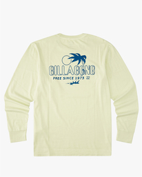 billabong, Lounge Wave Washed T-Shirt à Manches Longues, LIGHT GREEN (gcq0) LOUNGE LS WW ABYZT01312