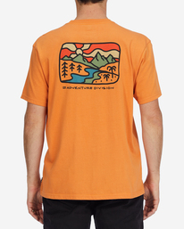 billabong, A/Div Shine Organic Short Sleeve T-Shirt, APRICOT (apr) SHINE SS ABYZT01320