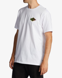 1 Crayon Wave T-Shirt White ABYZT01697 Billabong