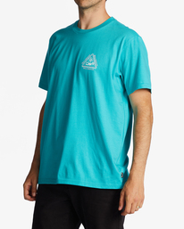 1 Tall Tale T-Shirt Green ABYZT01704 Billabong
