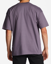 2 Growth OG T-Shirt Purple ABYZT01705 Billabong