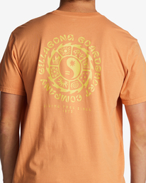 3 Connection T-Shirt Red ABYZT01708 Billabong
