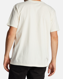 billabong, Theme Diamond T-Shirt, OFF WHITE (ofw) Theme Diamond - T-Shirt for Men ABYZT01710