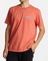 billabong, Crossboards T-Shirt, DARK CORAL (rnh0) Crossboards - T-Shirt for Men ABYZT01712