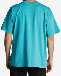 Throw Back OG Short Sleeve Wave Washed T-Shirt