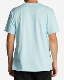 billabong, Team Pocket T-Shirt, COASTAL (ctl) TEAM POCKET ABYZT01715
