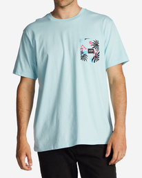 billabong, Team Pocket T-Shirt, COASTAL (ctl) TEAM POCKET ABYZT01715