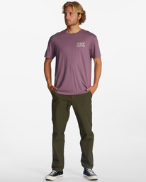 2 Panorama - Camiseta Orgánica para Hombre Violeta ABYZT01731 Billabong