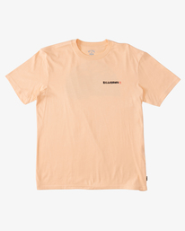 4 A/Div Shine Short Sleeve T-Shirt  ABYZT01732 Billabong