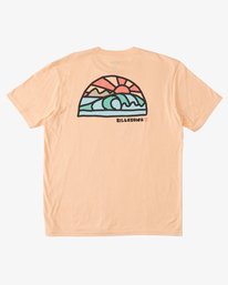 3 A/Div Shine Short Sleeve T-Shirt  ABYZT01732 Billabong