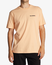 billabong, A/Div Shine Short Sleeve T-Shirt, SHERBET (sbt) Shine - Organic T-Shirt for Men ABYZT01732