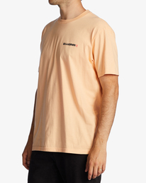 1 A/Div Shine Short Sleeve T-Shirt  ABYZT01732 Billabong