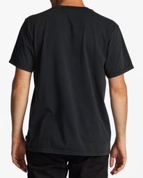 billabong, ESSENTIAL WASH SS WW, WASHED BLACK (waa) ESSENTIAL WASH SS WW ABYZT01740
