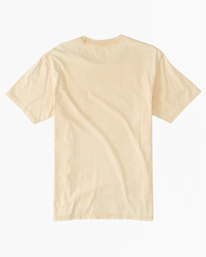 5 Pocket Wash T-Shirt  ABYZT01741 Billabong