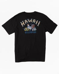 5 Hawaii Arch T-Shirt Black ABYZT01754 Billabong
