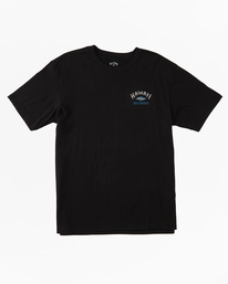 4 Hawaii Arch T-Shirt Black ABYZT01754 Billabong