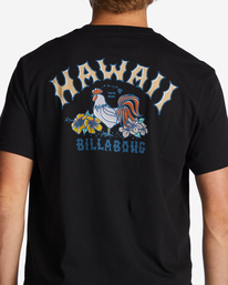 3 Hawaii Arch T-Shirt Black ABYZT01754 Billabong