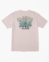 5 Florida Arch T-Shirt Pink ABYZT01755 Billabong