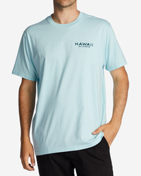 0 Hawaii Lookout T-Shirt  ABYZT01756 Billabong