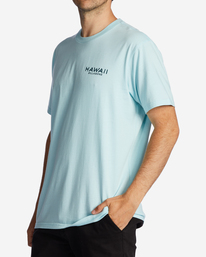1 Hawaii Lookout T-Shirt Blue ABYZT01756 Billabong