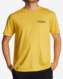 0 Hawaii Lookout T-Shirt  ABYZT01756 Billabong