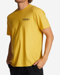 1 Hawaii Lookout T-Shirt  ABYZT01756 Billabong
