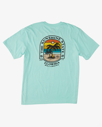 5 Florida Dos Palms T-Shirt Green ABYZT01757 Billabong