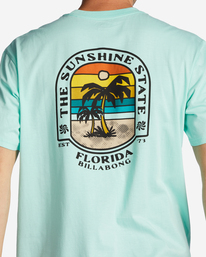 3 Florida Dos Palms T-Shirt Green ABYZT01757 Billabong
