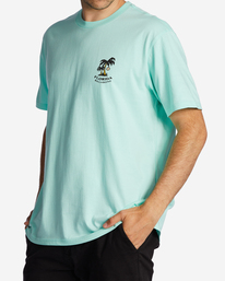 1 Florida Dos Palms T-Shirt Green ABYZT01757 Billabong