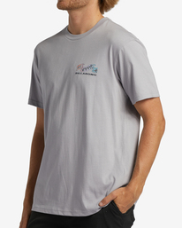 3 Segment - T-Shirt voor Heren Gray ABYZT01865 Billabong