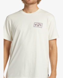 3 A/Div Arch T-Shirt White ABYZT01893 Billabong