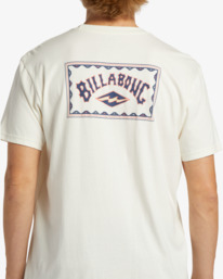 4 A/Div Arch T-Shirt White ABYZT01893 Billabong