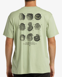 billabong, Synthesis - T-shirt pour Homme, LIGHT SAGE (gfy0) Synthesis - T-Shirt for Men ABYZT01899