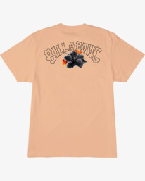 4 Kamea Lava Arch T-Shirt Pink ABYZT01917 Billabong