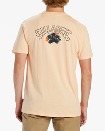 billabong, Kamea Lava Arch T-Shirt, DUSTY MELON (dtm) Kamea Lava Arch - T-Shirt for Men ABYZT01917