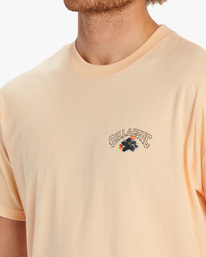 3 Kamea Lava Arch T-Shirt Pink ABYZT01917 Billabong